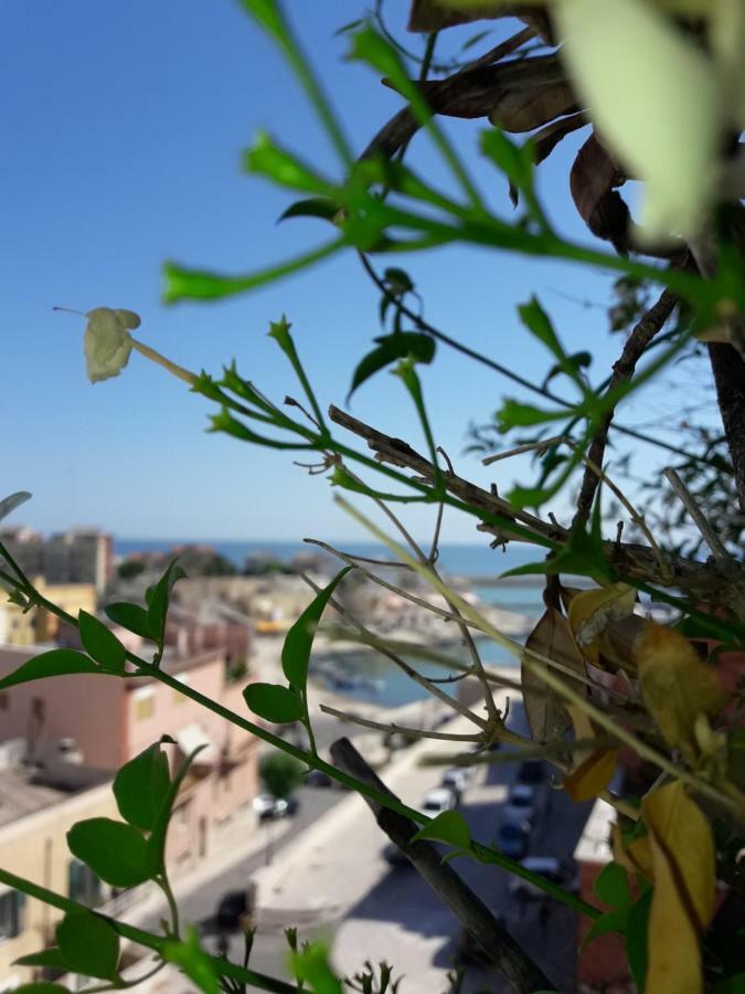 B&B Le Terrazze Bisceglie Exterior photo